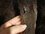 Immagine 4