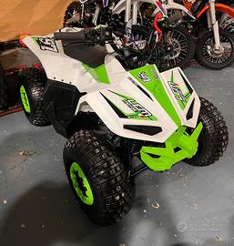 Quad lem elettrico