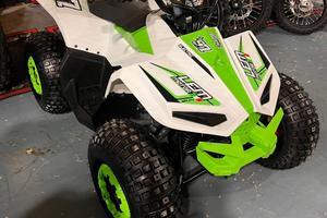Quad lem elettrico