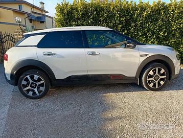 C4 cactus automatica