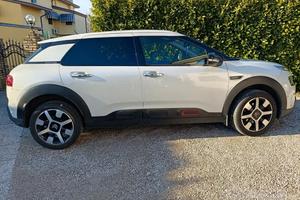 C4 cactus automatica