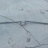 Braccetti per vigneto GDC