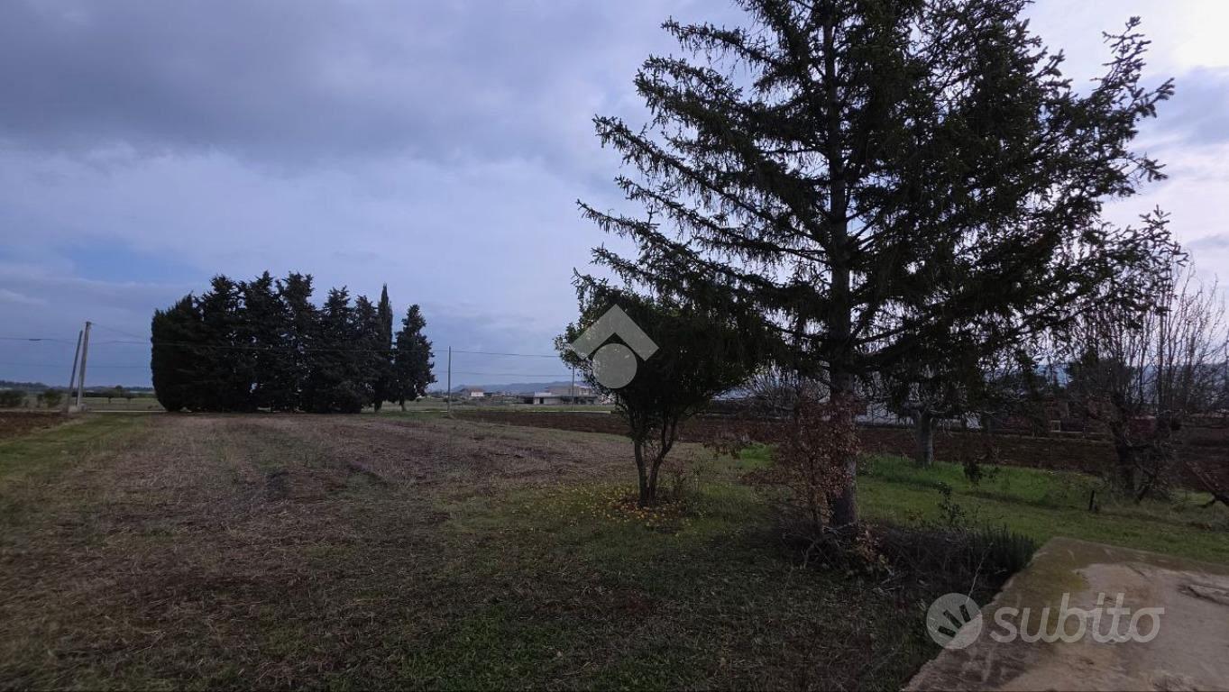 TERRENO A SPOLTORE - Vista 5