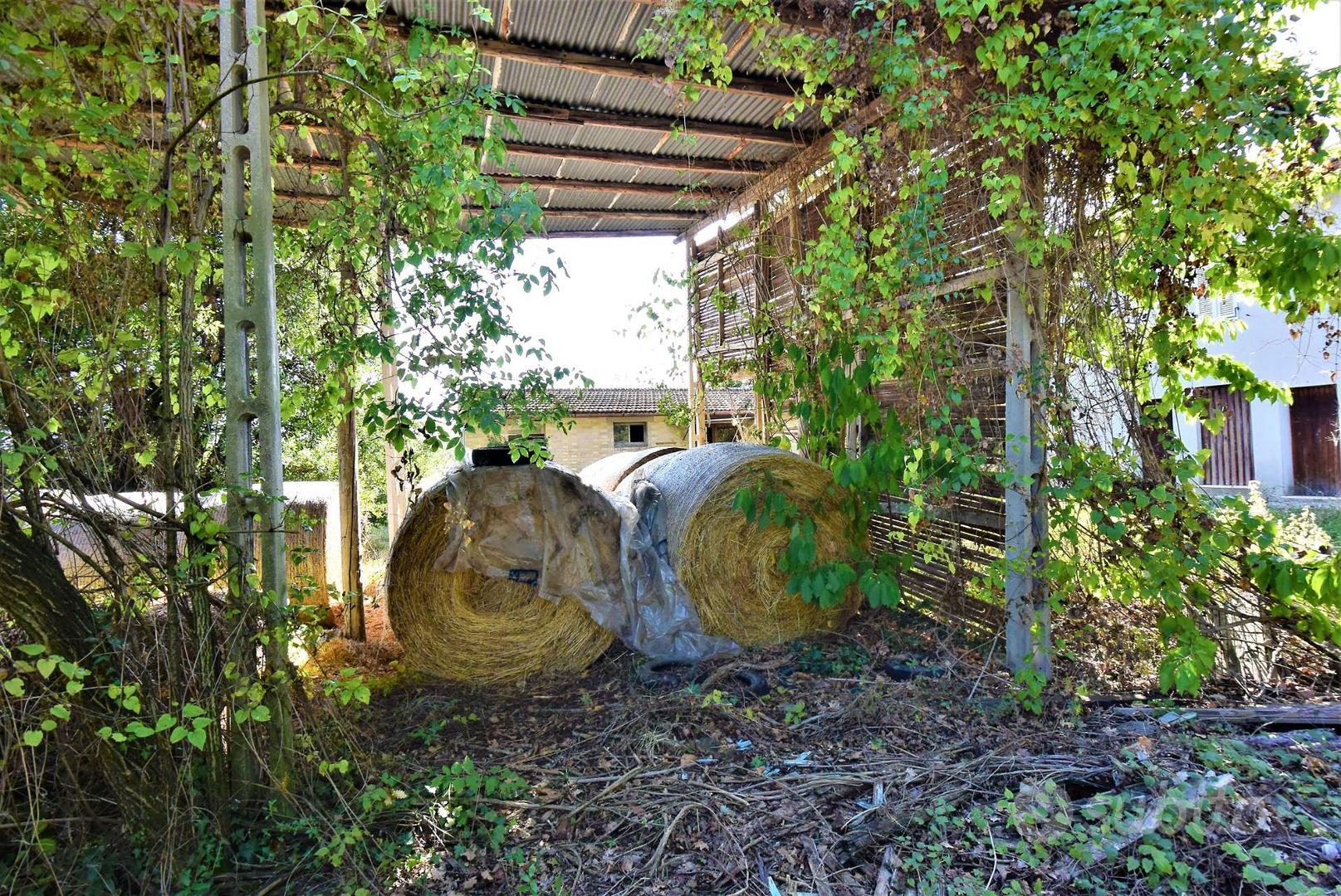 Casa Colonica con Terreno - Magliano di Tenna - Vista 3