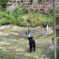 Futura taglia piccola