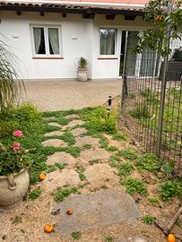 Bivani zona la malfa