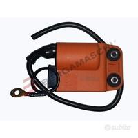 Centralina accensione piaggio zip liberty 50 2T