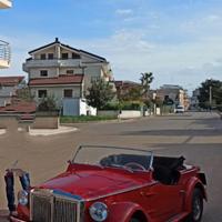 FIAT 850 Siata Spring 1967