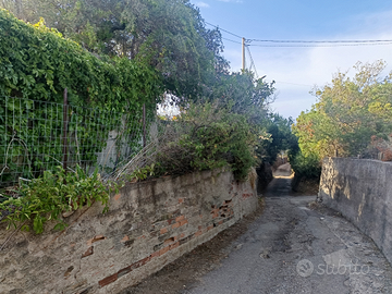 Terreno con uliveto circa 1000 mq con deposito