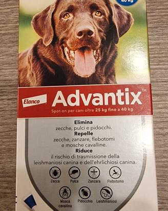 riduce la trasmissione della LEIASHMANOSI  E DELL 