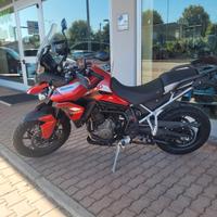 Triumph Tiger 900 900 GT PRO