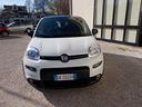 fiat-panda-1-0-firefly-s-s-hybrid-sport