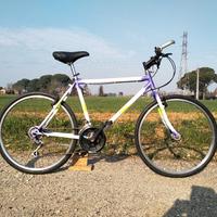 Bicicletta MTB 26"