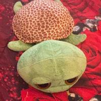 Tartaruga Ty Occhioni