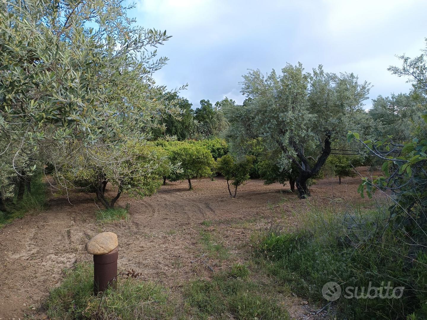 Terreno vicinissimo allo Scalo di Corigliano - Vista 4