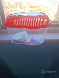 Piccola Tartarughiera 