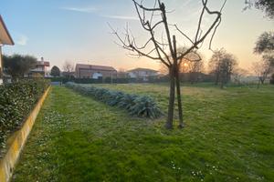 Terreno edificabile Paluello di Stra