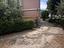 Immagine 7