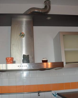 cucina componibile ad angolo con penisola 