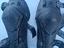 Immagine 1