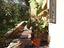 Immagine 16