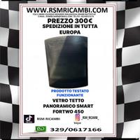 VETRO TETTO PANORAMICO SMART 450