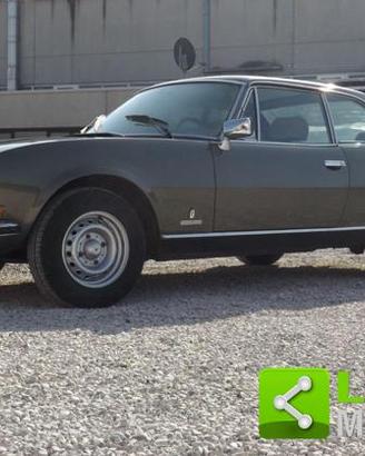 PEUGEOT 504 c12 Pininfarina unico proprietario b