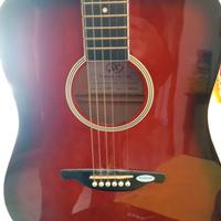 Chitarra acustica elettrificata Sx