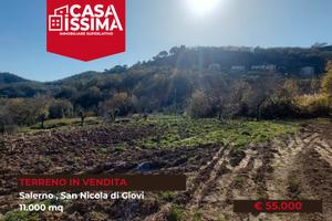 Terreno agricolo di 11000 mq in Giovi San Nicola