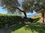 Immagine 30