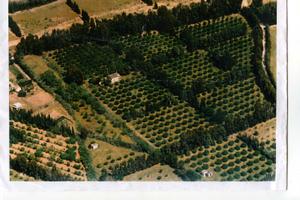Aziendina a 7 km da capo ferrato