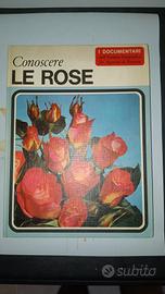 conoscere le rose 1967