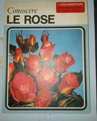 conoscere le rose 1967