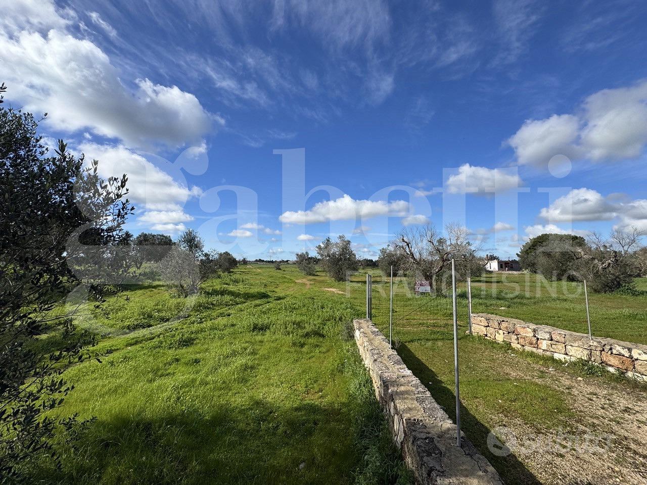 Terreno Agricolo Galatina [Cod. rif 3294156VCG] - Vista 3