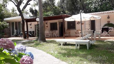 Ischia Porto Villa centralissima immersa nel verde