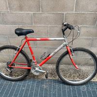 MTB Al.pi.n.  28" Uomo