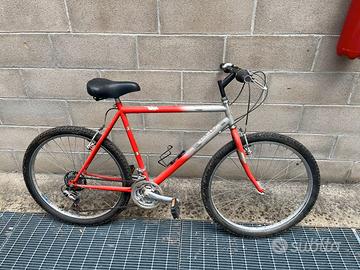 MTB Al.pi.n.  28" Uomo