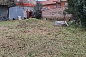 terreno agricolo 