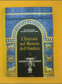 L'Entrata nel Mistero dell'Ombra Riccardo Villanov
