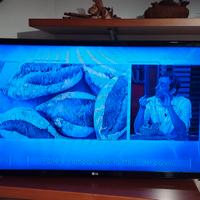 Televisione LG32LJ510U