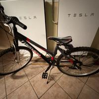 Mountain Bike Torpado