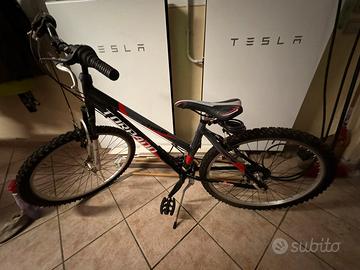 Mountain Bike Torpado