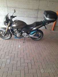 Honda Hornet - 2006