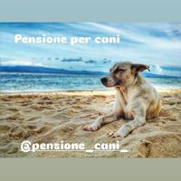 Pensione per cani