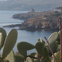 Aiutocuoco /lavapiatti con esperienza