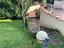 Immagine 13
