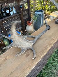 Palco di daino decorazione rustica
