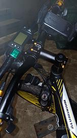 bicicletta elettrica 