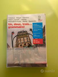 libro scolastico grammatica francese