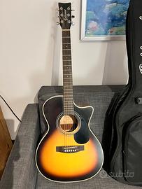 Acoustic Guitar